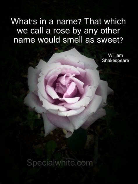Whats In A Name That Which We Call A Rose By Any Other Name Would