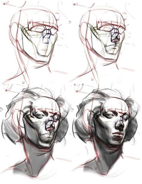 How To Draw Human Figure Download Book Facial Anatomy Head Anatomy