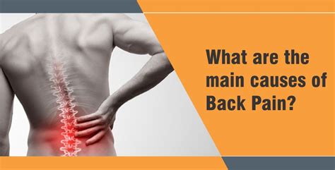 What Are The Main Causes Of Back Pain Back Pain Specialist In