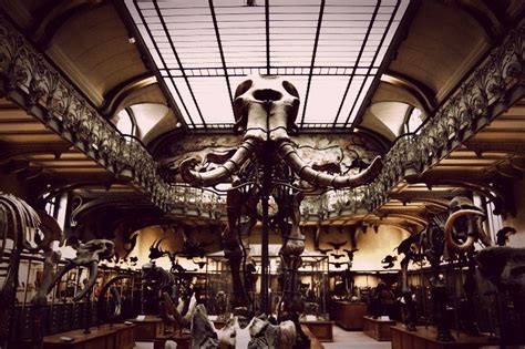 Natural History Museum Of Paris Photo By Nacho García Hermosell On 500px
