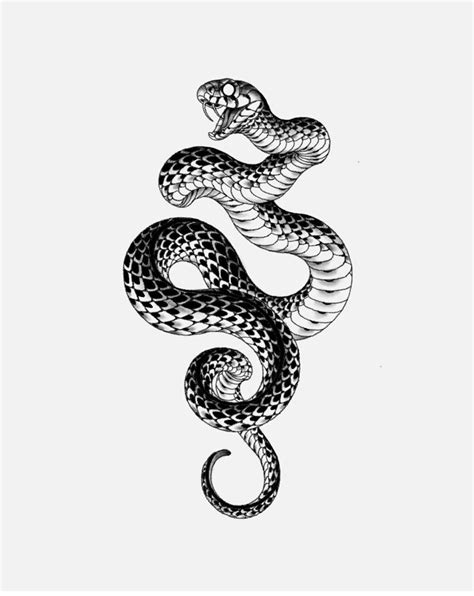 Leg Tattoos Black Tattoos Body Art Tattoos Small Tattoos Serpent