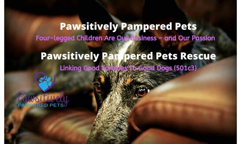 We Have Moved Pawsitively Pampered Pets