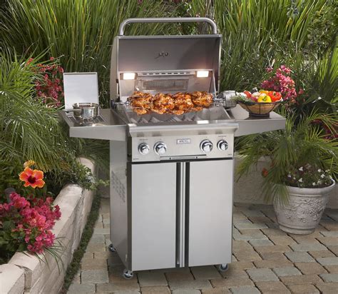 American Outdoor Grill 24 L Series Portable Barbecue Embers
