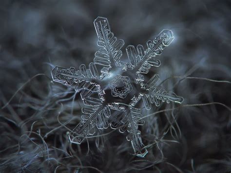 Photography By Alexey Kljatov Amazing Macro Photography Snowflake