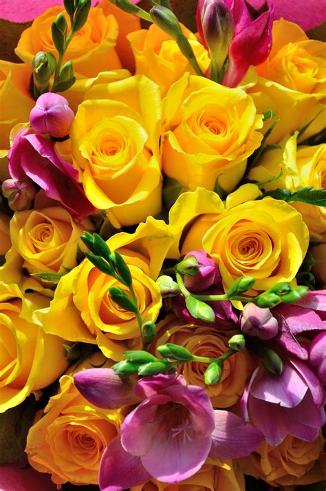 A Bouquet Of Yellow Roses Rose Flower Wallpaper Yellow Rose Flower