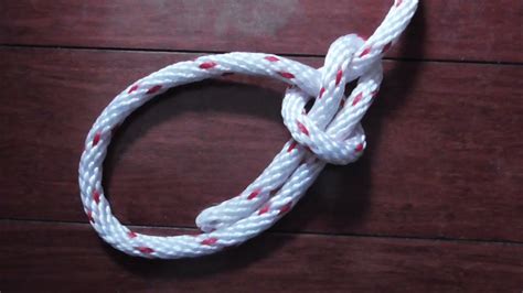 As soon as gommers sees this the bowline on a bight is tied on a harness as a simple bowline with the tail traced back through the knot to double it up and form the knot into a. How To Tie A Snap Bowline Knot - Tutorial - YouTube
