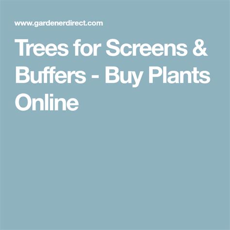 Trees For Screens And Buffers Buy Plants Online Buy Plants Online