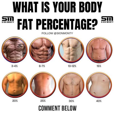 Why You Need To Know Your Body Fat Percentage Greenbar Fitness My Xxx