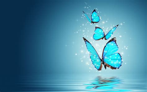 Blue Butterfly Hd Wallpaper 70 Images
