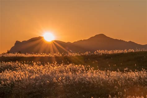 曽爾高原の秋ハイキングと幻想的な夕日を楽しむ1日 東奈良名張へようこそ