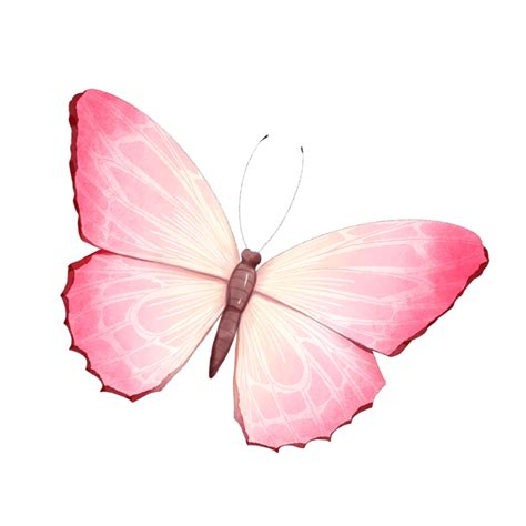 Butterfly Watercolor Blooming Pink Butterfly Png Images Psd Free