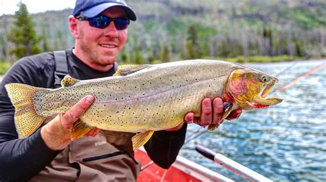 Yellowstone Cutty Hatch Magazine Fly Fishing Etc