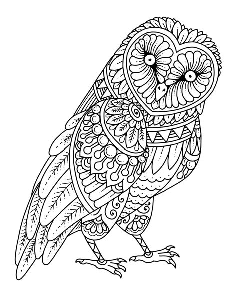 Funny Owl Mandala Coloring Page Download Print Or Color Online For Free