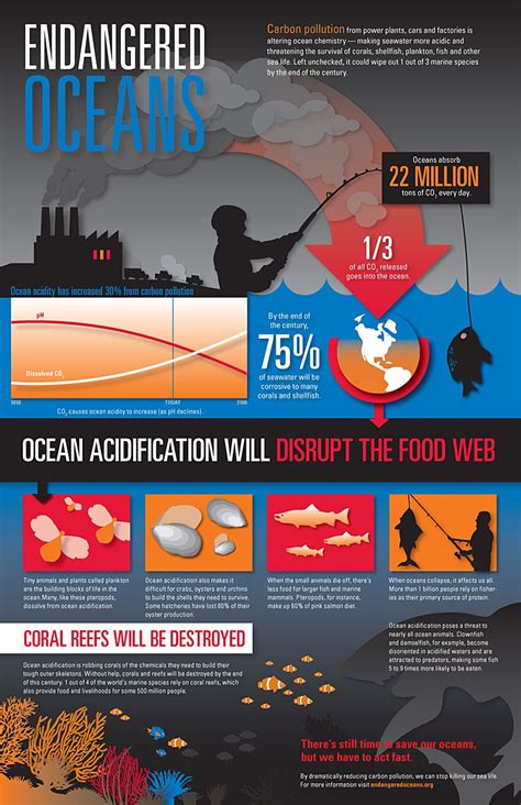 Infographic Ocean Acidification Ocean Pollution Save Our Oceans Food