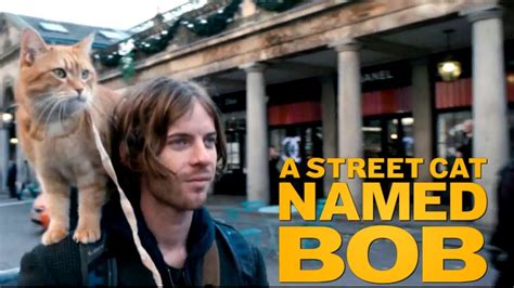 A Street Cat Named Bob 2016 Trailer 1 Luke Treadaway And Bob Youtube