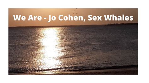We Are Jo Cohen Sex Whales Music Relex Life Youtube