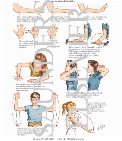 Exercises For The Upper Extremities