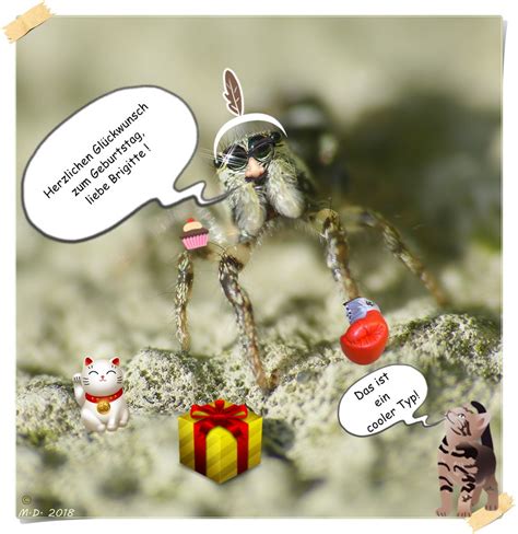 Suggest as a translation of herzlichen glückwunsch zum geburtstag. Herzlichen Glückwunsch zum Geburtstag ... Foto & Bild ...