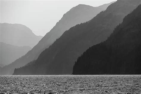 Usa Alaska Tongass National Forest Photograph By Jaynes Gallery