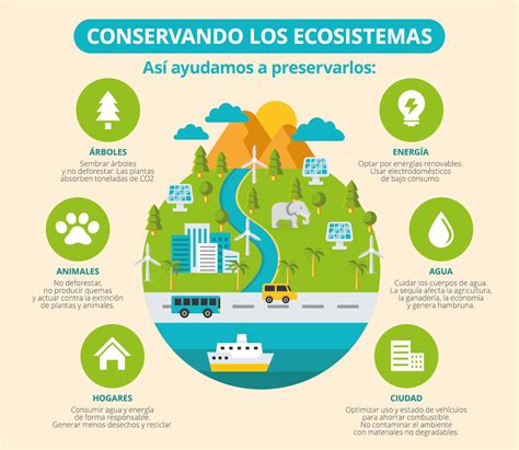 ¿qué Son Los Servicios Ecosistémicos Ods Universidad De La Costa