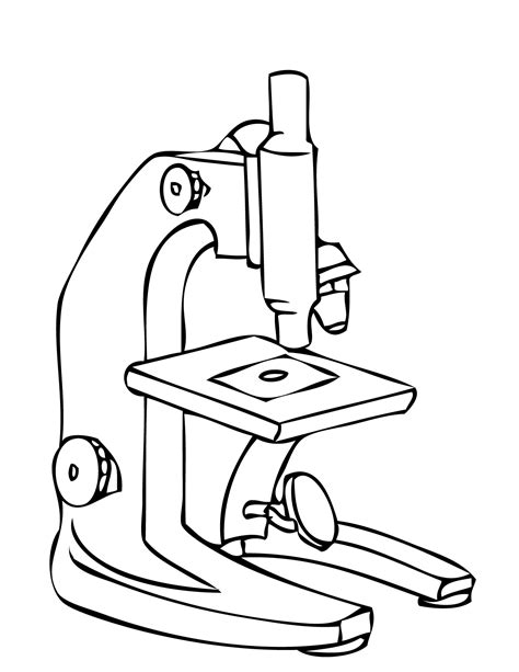 Compound Light Microscope Drawing At Getdrawings Free Download
