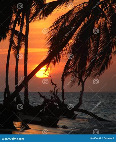 Romantic Tropical Sunset Caribbean Beach Stock Image Image Of