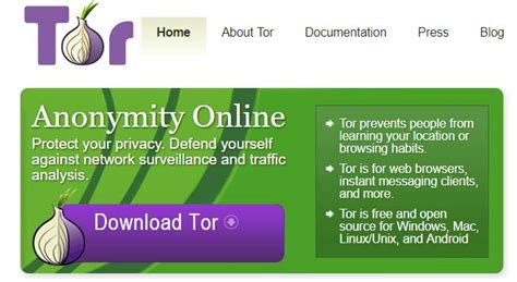 how to use tor browser to access the dark web sasngo
