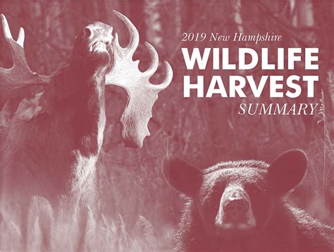 2019 New Hampshire Wildlife Harvest Summary Now Available Nh Fish And