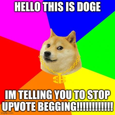 Advice Doge Meme Imgflip