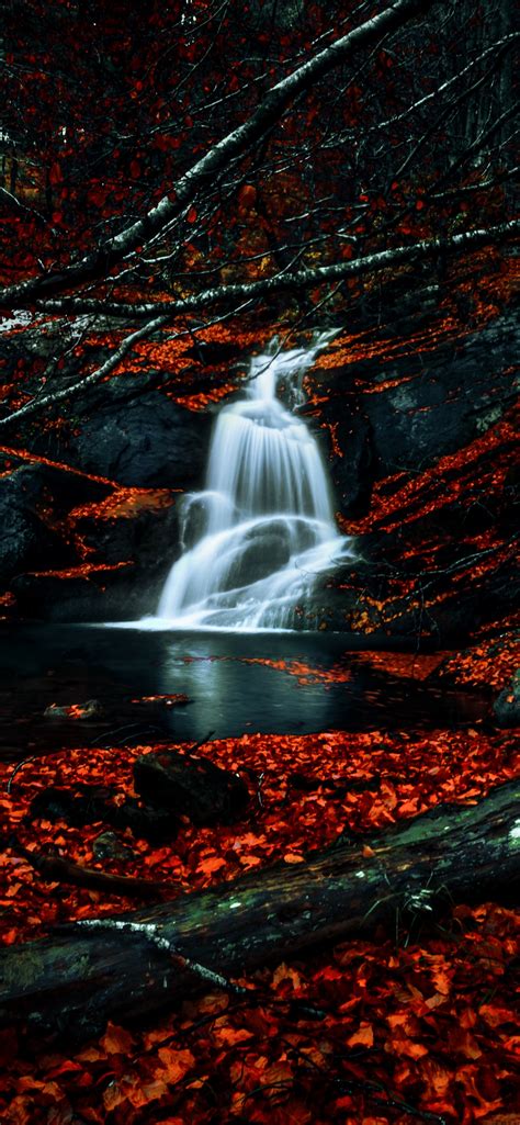 Waterfalls Wallpaper 4k Autumn Dark Forest Foliage Woods Red