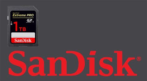 We did not find results for: World's First 1TB SD Memory Card Launched By SanDisk