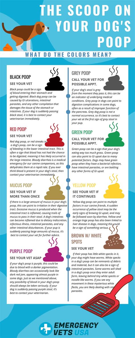 Dog Poop Color Chart Find Out What Each Color Means