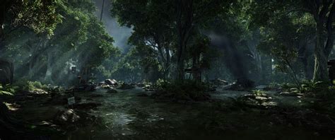 Forest Trail Crysis 3 Video Games Forest Stream Hd Wallpaper