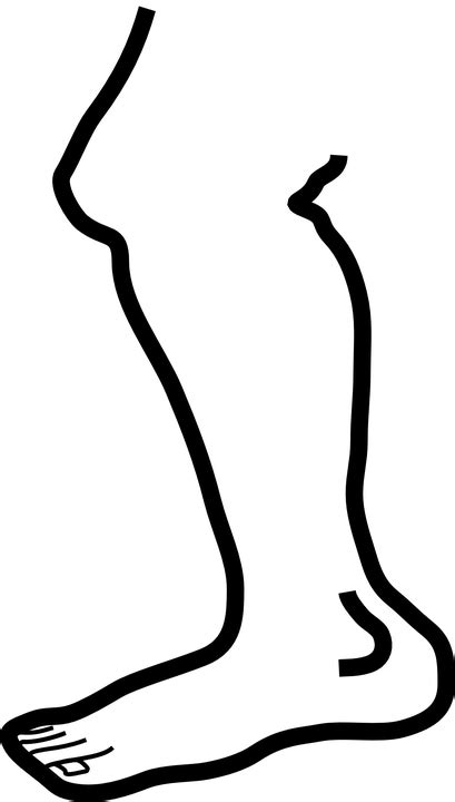 Leg Foot Human Free Vector Graphic On Pixabay