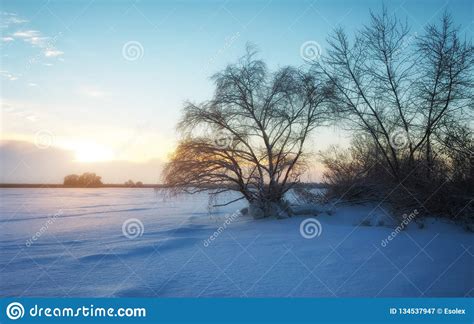 Beautiful Winter Landscape With Frozen Lake Trees And Sunset Stock