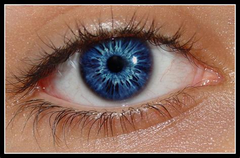 Mit diesem reiseführer der lustigsten pannen sind sie gegen die tücken des urlaubsalltags. Hände im Auge Foto & Bild | fotos von teilen des gesichts, körperdetails, augen Bilder auf ...