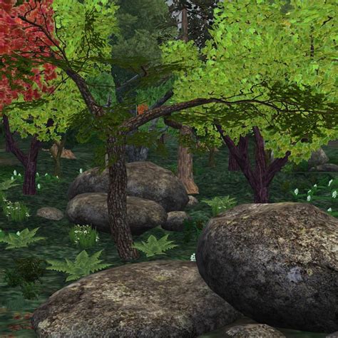 Temperate Forest Zoo Tycoon Wiki Fandom Powered By Wikia