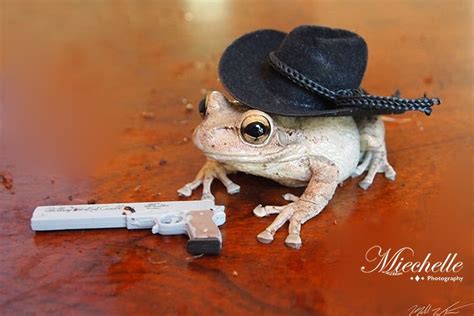 The Cuban Cuban Tree Frog Hat Bought From A Craft Store Gun From An