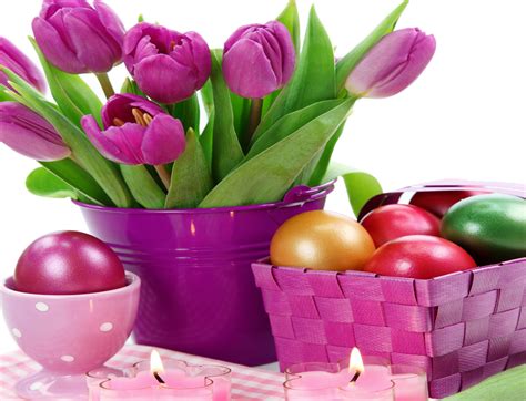 Holidays Easter Tulips Eggs Violet Wallpapers Hd Desktop And