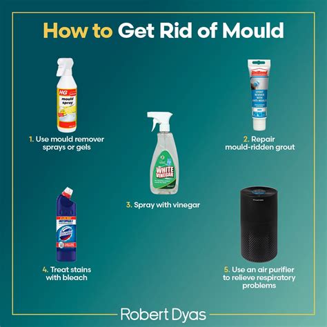 How To Get Rid Of Mould And Damp Robert Dyas