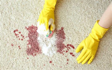 Blood Spillcrime Scene Cleanup Aaaenviropro