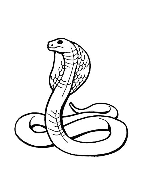 These are lots of fun while explore an ancient egypt unit or before/after a fieldtrip to a history museum. Snake Coloring Pages Free For Children