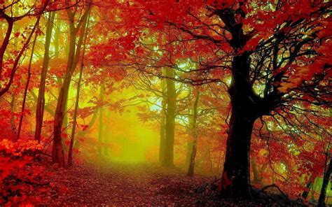 Autumn Pictures Wallpapers Wallpaper Cave