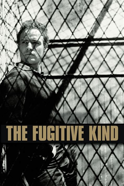 The Fugitive Kind 1960 Posters The Movie Database TMDB