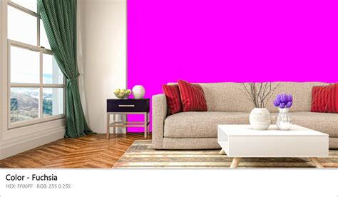 About Fuchsia Color Meaning Codes Similar Colors And Paints