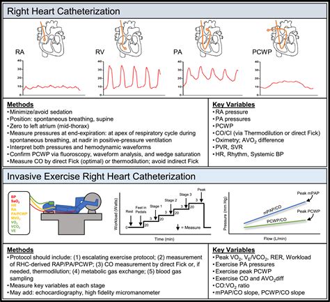 Hemodynamics For The Heart Failure Clinician A State Of The Art Review