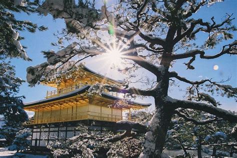 Rare Heavy Snowfall Turns Kyoto Into Winter Wonderland And The Photos