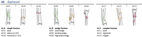 Aoota Classification Of Distal Tibial Fractures Adapt