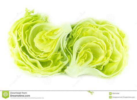 Lettuce Clipart Head Lettuce Pencil And In Color Lettuce Clipart Head