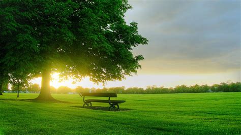 Nature Green Morning Hd Wallpaper